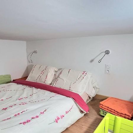 T2 Louise - Jardin Des Plantes - Metro - Tramway Apartment Toulouse Exterior foto